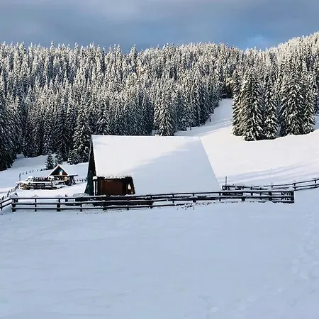 Cosy On Pokljuka - Brunarica Tinkara Chalet