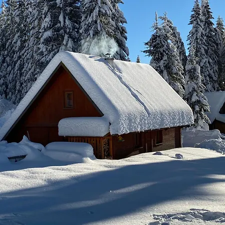 Cosy On Pokljuka - Brunarica Tinkara *