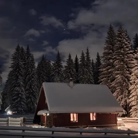 Domek alpejski Cosy On Pokljuka - Brunarica Tinkara Zgornje Gorje