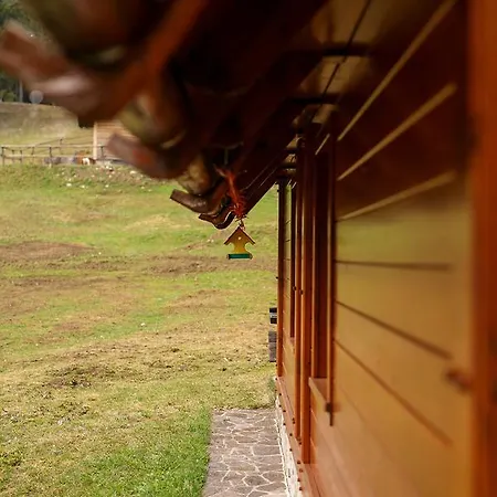 בקתה Cosy On Pokljuka - Brunarica Tinkara *