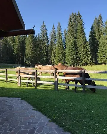 Chalet Cosy On Pokljuka - Brunarica Tinkara *