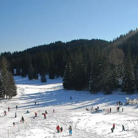 Cosy On Pokljuka - Brunarica Tinkara בקתה *