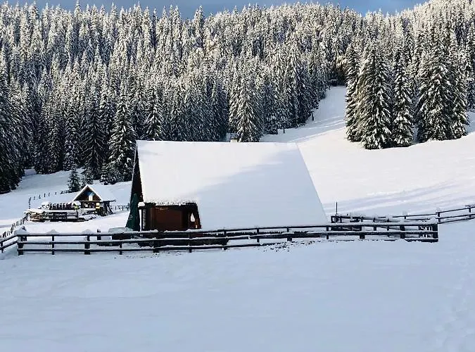 Cosy On Pokljuka - Brunarica Tinkara 木屋