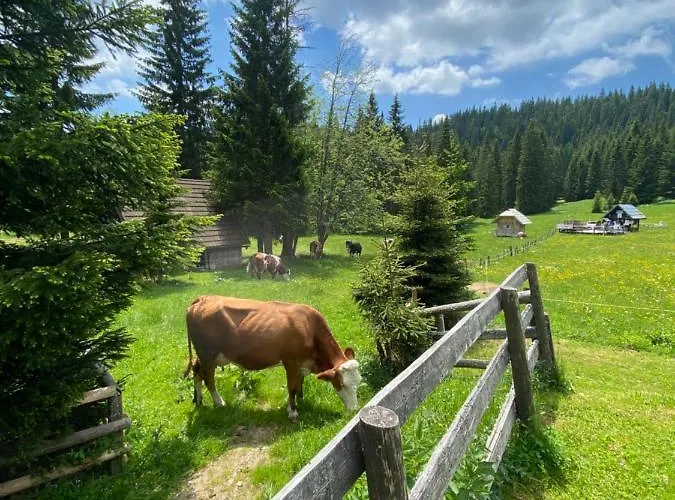 Cosy On Pokljuka - Brunarica Tinkara Zgornje Gorje