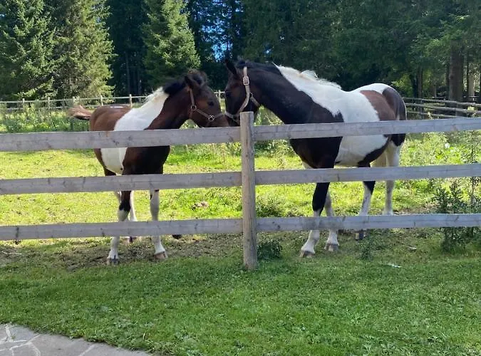 Cosy On Pokljuka - Brunarica Tinkara *