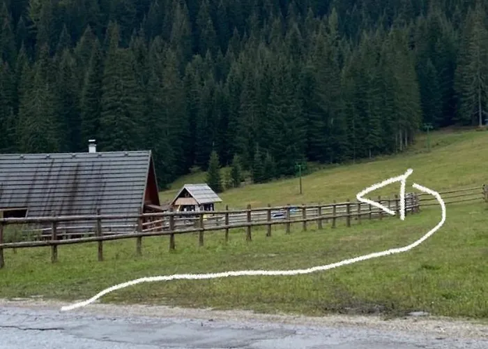 Cosy On Pokljuka - Brunarica Tinkara *