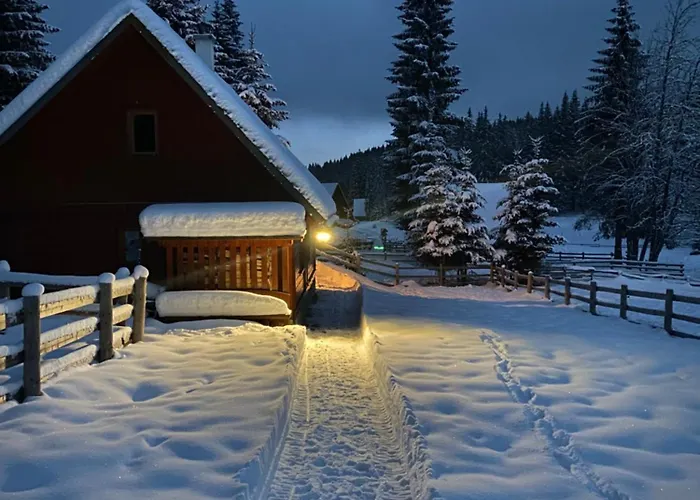 Cosy On Pokljuka - Brunarica Tinkara Brvnara *