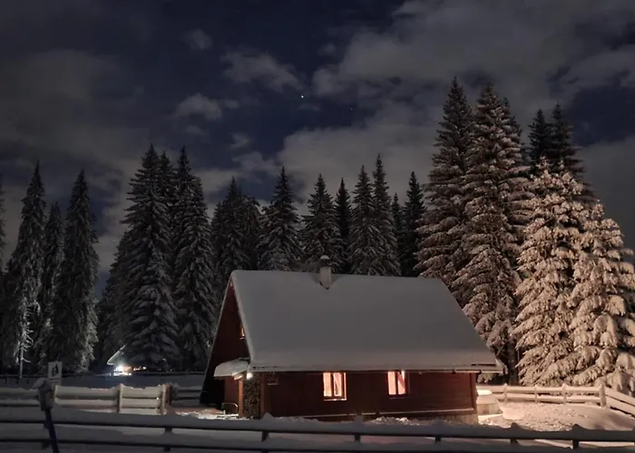 木屋 Cosy On Pokljuka - Brunarica Tinkara Zgornje Gorje