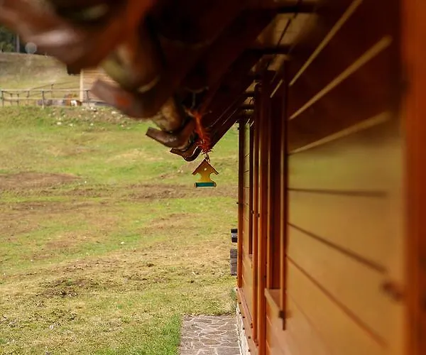 木屋 Cosy On Pokljuka - Brunarica Tinkara *