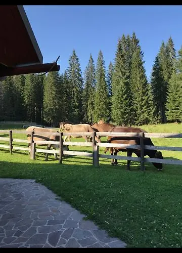 木屋 Cosy On Pokljuka - Brunarica Tinkara *