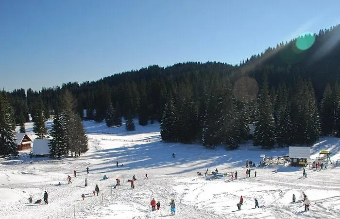 Cosy On Pokljuka - Brunarica Tinkara 木屋 *